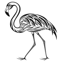 Placeholder image display