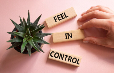 Feel in Control symbol. Wooden blocks with words Feel in Control. Beautiful pink background with succulent plant. Businessman hand. Business and Feel in Control concept. Copy space.