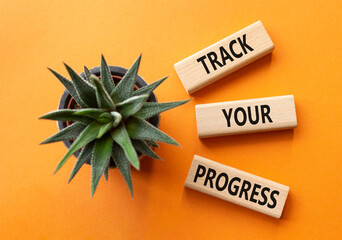 Progress symbol. Wooden blocks with words Track Your Progress. Beautiful orange background with succulent. Business and Track Your Progress concept. Copy space.