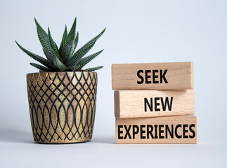 New Experiences symbol. Wooden blocks with words Seek New Experiences. Beautiful white background with succulent. Business and New Experiences concept. Copy space.