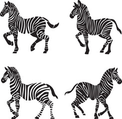 Zebra silhouette wildlife animal black shape isolated on white