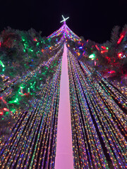 Christmas tree shines with colorful lights in festive display