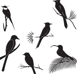 Nature bird silhouette icon set perched branch black vector on white background