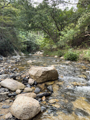 Flowing river with rocks and trees along the bank in natural setting