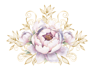 Light pink peony with gold filigree accents on black background flower