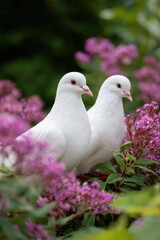 Two white doves perched among vibrant pink flowers in lush garden setting