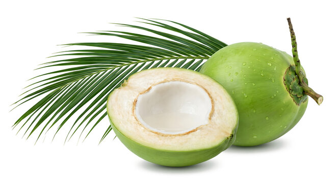 Fresh green coconut with a palm leaf and a cut young coconut on a transparent background