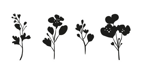 Hand drawn black rapeseed flower silhouettes isolated on white background. Blooming canola plants.
