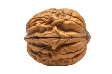 Whole Walnut in Natural Healthy Style with Brown Shell and Bright Studio Lighting on White Background for Food and Nutrition Content.