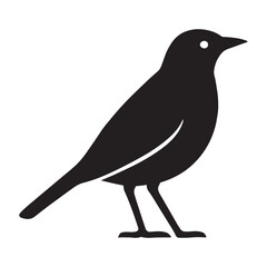 Fototapeta premium Crow Silhouette