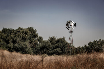 Breeze at Rio Bosque