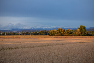 vista panoramica di un ambiente naturale delle campagne italiane nel nord-est Italia, al tramonto, con cielo nuvoloso