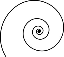 Hypnotic Black and White Spiral Vortex - Optical Illusion