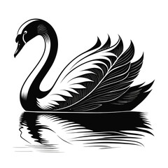 Fototapeta premium Ultra clean black and white swan vector illustration, 2d