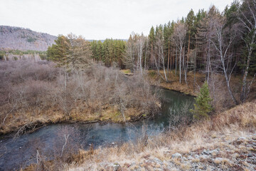 Surveyor studying shoreline features amidst cloudcovered landscape details, Researcher exploring and documenting erosion along river passing through minimalistic forested environment