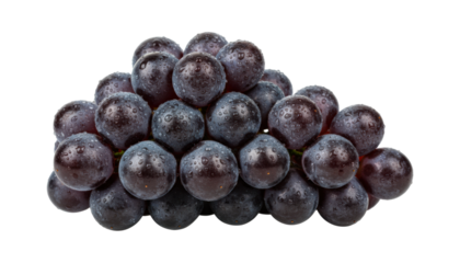 Beautiful bunch of ripe black grapes covered with fresh water droplets showcases the fruit's natural texture and vibrant, healthy appeal in a detailed macro view