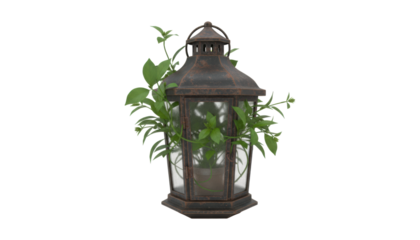 Rusty old metal garden lantern with a vibrant green plant growing inside and climbing out, creating a whimsical and enchanting decorative object combining nature and vintage style