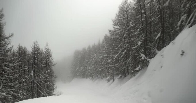 Skiing down a slope in snowy, gloomy, foggy woods