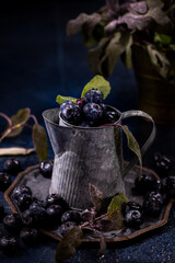 Fresh ripe blueberries filling vintage metal pitcher