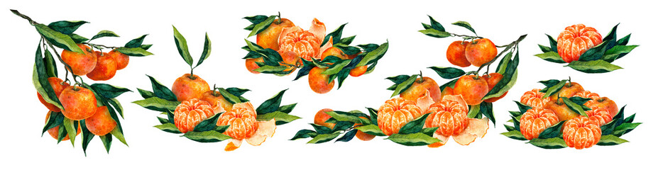 Watercolor mandarin illustrated as a set of elements: branches, slices, whole fruits and leaves. Suitable for packaging, cards, product design, posters and prints. © _Julia_red
