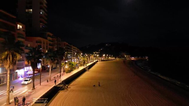 Aerial drone view of coastline town at night, moonlight reflected on sea waves, city lights, vertical background