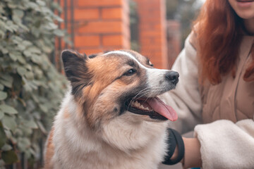 Woman hugging dog in the autumn park.