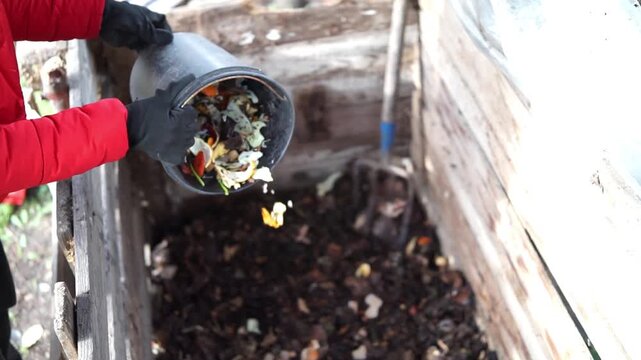 Pouring Organic Kitchen Waste from a Bucket into a Compost Bin