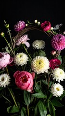 poppy flower background