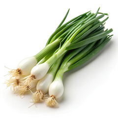 Fresh Spring Onions Isolated on White Background &ndash; 4K Ultra HD
