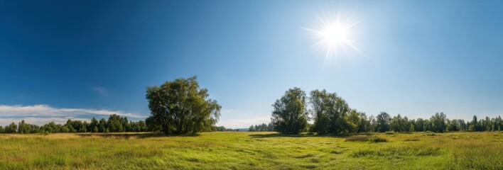 Fototapeta premium Sunny summer meadow with lush green trees and clear blue sky