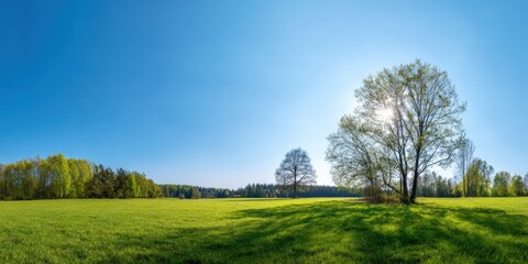 Naklejka premium Sunny spring landscape with lush green field and trees under clear blue sky