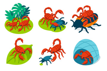 Pseudoscorpion Adventure Icons. Isometric vector illustration set Pseudoscorpions: tropical pseudoscorpions, prey capture, riding