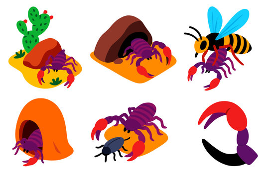 Pseudoscorpion Adventures. Isometric vector illustration set Pseudoscorpions: desert microhabitat, pseudoscorpion ambush, phoretic