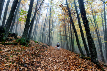 Paseando por el casta&ntilde;ar en otto&ntilde;o