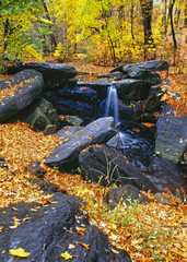 Harriman State Park in late autumn