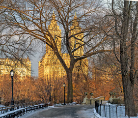 Bow bridge in winter after light snow