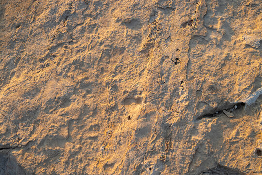 Close up texture of natural yellow limestone rock surface