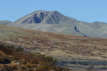 Mountain tundra landscape in Norway under clear blue sky