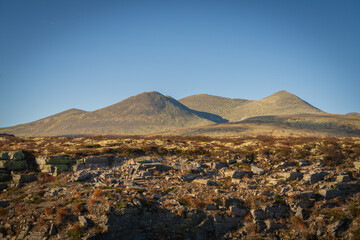 Mountain tundra landscape in Norway under clear blue sky