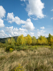 autumn landscape with trees and buda hill in background