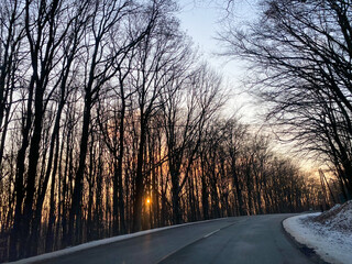 winter forest road at sunset light