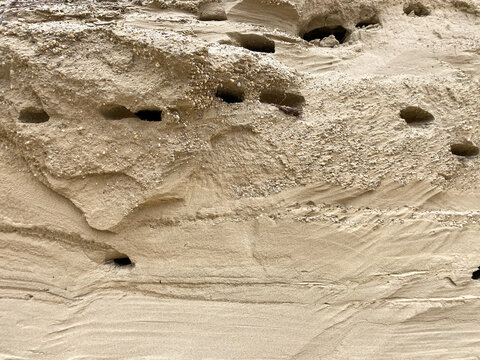 sand wall with erosion holes and sediment layers