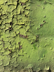 flaking green paint on old textured wall