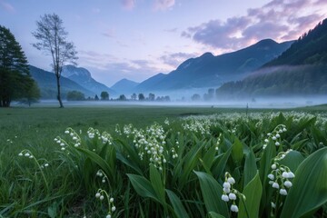 Morning Mist Hangs Over a Valley With Flowers and Mountains Visible