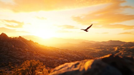 Naklejka premium Eagle soars sunset mountains landscape freedom
