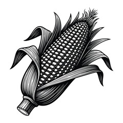 Detailed engraving of a corn cob with husk leaves showcasing a striking silhouette