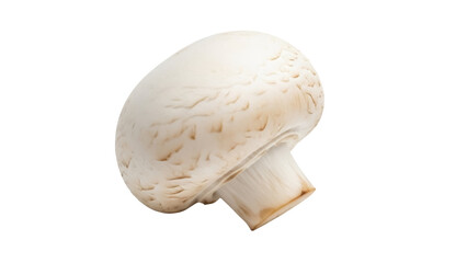 Fresh champignon mushroom isolated PNG on transparent background, edible fungus with a smooth cap and short stem for culinary use