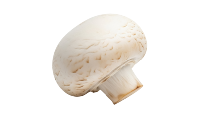 Fresh champignon mushroom isolated PNG on transparent background, edible fungus with a smooth cap and short stem for culinary use