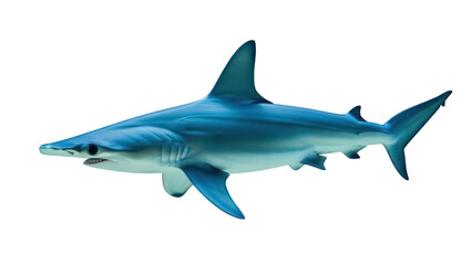 Obraz premium Blue shark PNG isolated on transparent background, marine predator with streamlined body and sharp teeth for wildlife and ocean themes