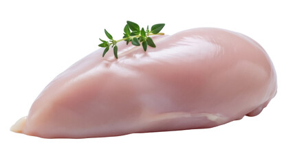 Raw chicken breast fillet isolated PNG on transparent background, uncooked poultry meat with thyme sprig for healthy cooking
